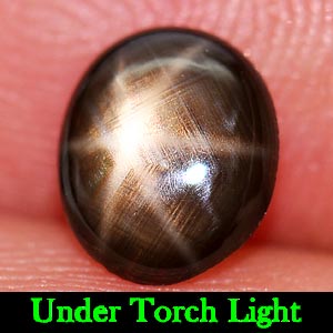 1.05 Ct. Alluring Natural 6 Ray Black Star Sapphire Gemstone Oval Cab