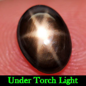 1.12 Ct. Natural 6 Ray Black Star Oval Cab Sapphire Gemstone