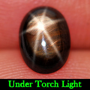 1.55 Ct. Oval Cabochon Natural Black Star Sapphire 6 Rays