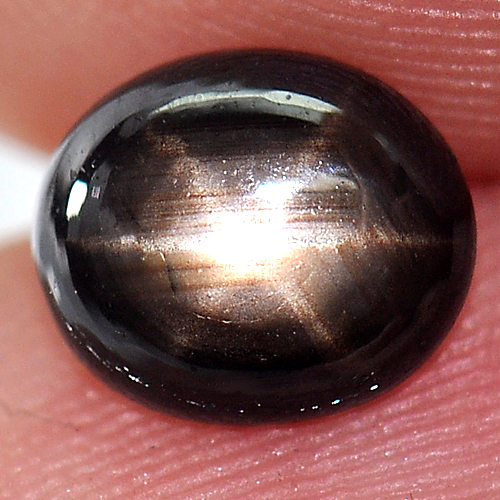 1.55 Ct. Stunning Natural Gem 6 Ray Black Star Sapphire Oval Cabochon