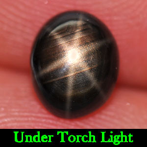 1.53 Ct. Oval Cabochon Natural Black Star Sapphire 6 Rays