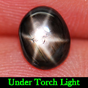 1.19 Ct. Natural 6 Ray Black Star Oval Cab Sapphire Gemstone