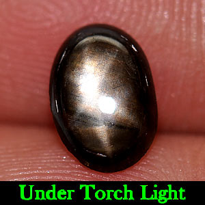 1.22 Ct. Oval Cab Natural 6 Rays Black Star Sapphire