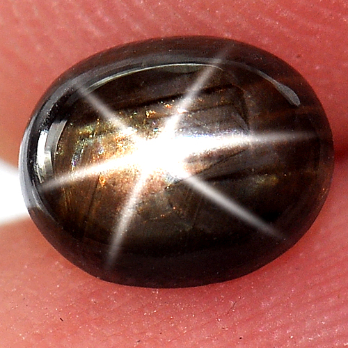1.21 Ct. Natural 6 Ray Black Star Oval Cab Sapphire Gemstone