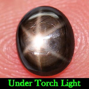 0.68 Ct. Natural 6 Ray Black Star Oval Cab Sapphire Gemstone