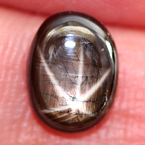 1.51 Ct. Oval Cabochon Natural Black Star Sapphire 6 Rays