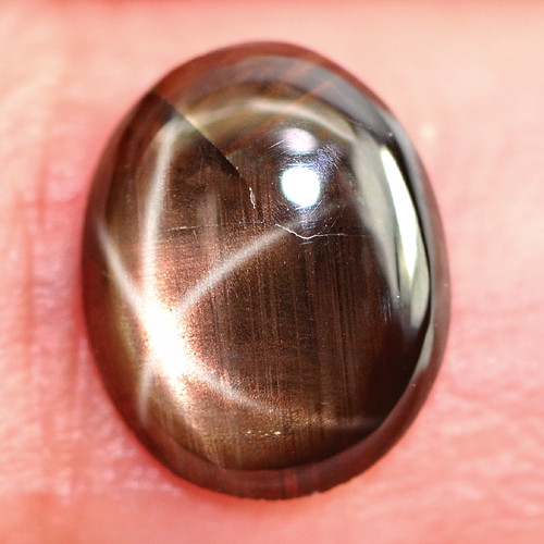 1.22 Ct. Oval Cabochon Natural Black Star Sapphire 6 Rays