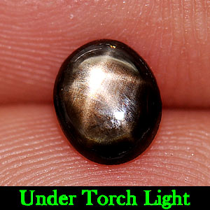 0.92 Ct. Oval Cabochon Natural Black Star Sapphire 6 Rays