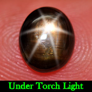 1.43 Ct. Natural 6 Ray Black Star Oval Cab Sapphire Gemstone