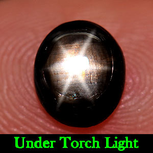 1.20 Ct. Natural 6 Ray Black Star Oval Cab Sapphire Gemstone