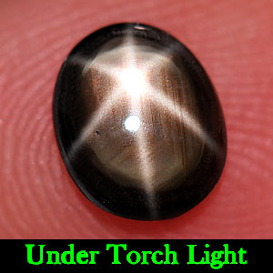 0.82 Ct. Oval Cabochon Natural Black Star Sapphire 6 Rays Thailand