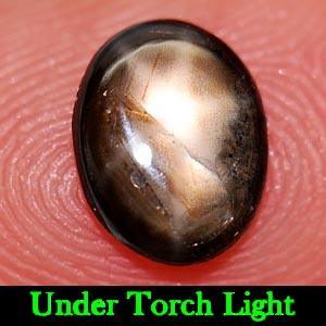 0.99 Ct. Oval Cabochon Natural Black Star Sapphire 6 Rays