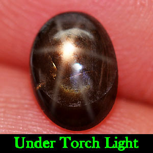 1.20 Ct. Oval Cabochon Natural Black Star Sapphire 6 Rays