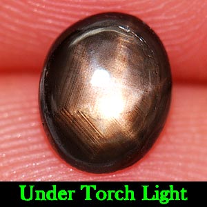 1.20 Ct. Oval Cabochon Natural Black Star Sapphire 6 Rays