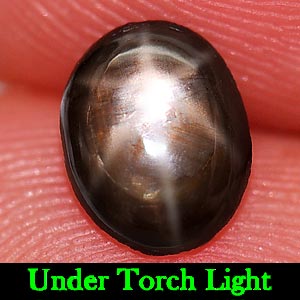 1.04 Ct. Oval Cabochon Natural Black Star Sapphire 6 Rays