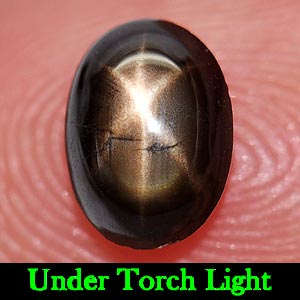 1.07 Ct. Natural Gemstone 6 Ray Black Star Sapphire Oval Cabochon