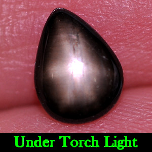 Alluring Gem 0.94 Ct. Natural Black Star Sapphire 6 Rays Pear Cabochon