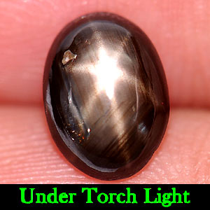 1.58 Ct. Attractive Natural Gemstone Black Star Sapphire 6 Rays Oval Cabochon