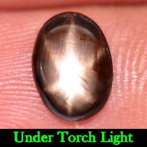 0.84 Ct. Natural Black Star Sapphire 6 Rays Oval Cabochon
