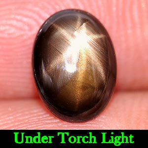 1.52 Ct. Oval Cabochon Natural Black Star Sapphire 6 Rays Gemstone