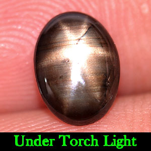 1.20 Ct. Oval Cabochon Natural Gem Black Star Sapphire 6 Rays From Thailand