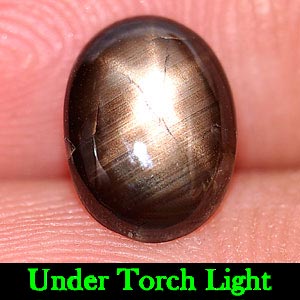 1.56 Ct. Natural Gem Oval Cabochon Black Star Sapphire 6 Rays From Thailand