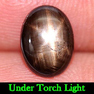 1.46 Ct. Oval Cabochon Natural Black Star Sapphire 6 Rays Gemstone