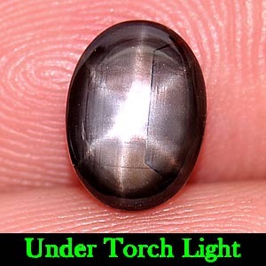 1.52 Ct. Natural 6 Ray Black Star Oval Cab Sapphire Gemstone