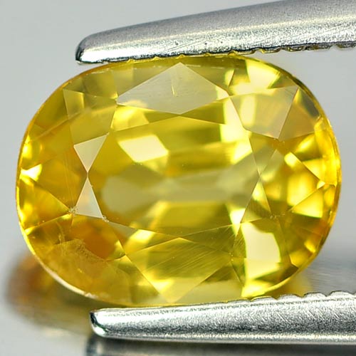 Yellow Sapphire 1.66 Ct. Oval Shape 7.7 x 6 x 4 Mm. Natural Gemstone Thailand