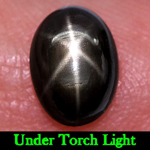 1.55 Ct. Attractive Natural Gem Black Star Sapphire 6 Rays Oval Cabochon