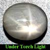 3.23 Ct. Natural Oval Cab Gray Star Sapphire 6 Rays Gem
