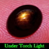 2.21 Ct. Oval Cab Natural Black Star Sapphire 6 Rays