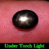 1.99 Ct. Oval Cab Natural Black Star Sapphire 6 Rays