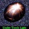 2.27 Ct. Oval Cabochon Natural Gemstone Black Star Sapphire 6 Rays