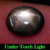 1.97 Ct. Oval Cab Natural Black Star Sapphire 6 Rays