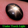 2.03 Ct. Oval Cab Natural Black Star Sapphire 6 Rays