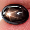 2.90 Ct. Oval Cabochon Natural Black Star Sapphire 6 Rays