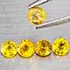 à¹ŒNatural Yellow Sapphrie 0.95 Ct. 5 Pcs Round Shape 3.5  Mm Gemstone from Thailand