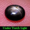 0.92 Ct. Oval Cab Natural Black Star Sapphire 6 Rays 0.92 Ct. Oval Cab Natural Black Star Sapphire 6 Rays
