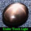 Unheated 5.25 Ct. Oval Cabochon Natural Gemstone Black Star Sapphire 6 Rays