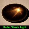 2.55 Ct. Oval Cab Natural Black Star Sapphire 6 Rays