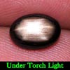 2.34 Ct. Oval Cab Natural Black Star Sapphire 6 Rays