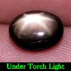2.66 Ct. Oval Cab Natural Black Star Sapphire 6 Rays