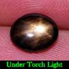 1.90 Ct. Oval Cab Natural Black Star Sapphire 6 Rays
