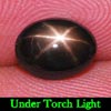 2.73 Ct. Oval Cab Natural Black Star Sapphire 6 Rays