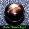 1.85 Ct. Round Cab Natural Black Star Sapphire 6 Rays