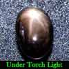1.99 Ct. Oval Cab Natural Black Star Sapphire 6 Rays