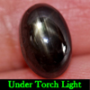 3.99 Ct. Oval Cab Natural Black Star Sapphire 6 Rays