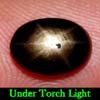 2.93 Ct. Oval Cab Natural Black Star Sapphire 6 Rays