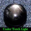 2.77 Ct. Round Cab Natural Black Star Sapphire 6 Rays